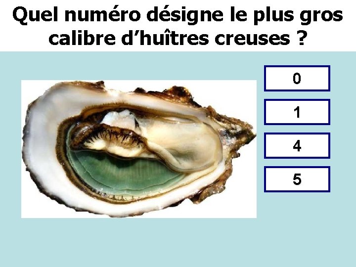 Quel numéro désigne le plus gros calibre d’huîtres creuses ? 0 1 4 5