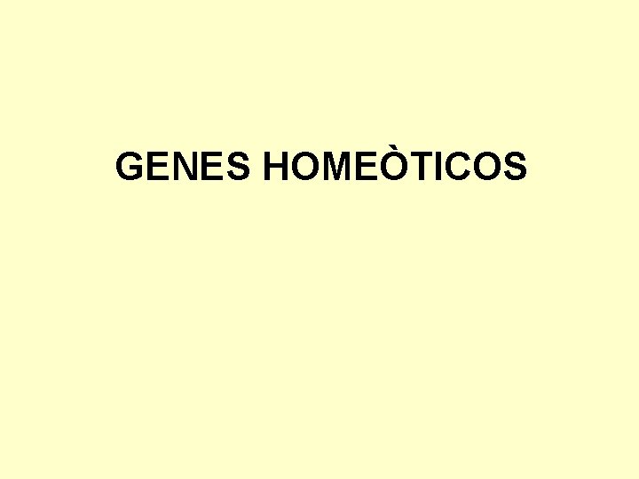 GENES HOMEÒTICOS 