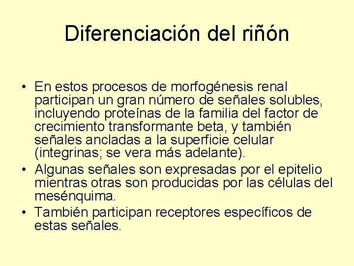 Diferenciación del riñón • En estos procesos de morfogénesis renal participan un gran número
