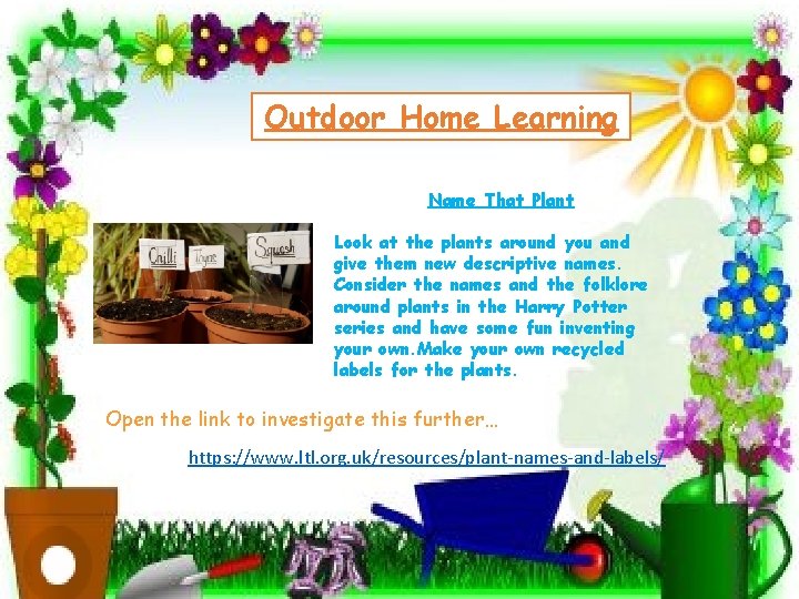 Outdoor Home Learning Name That Plant Look at the plants around you and give