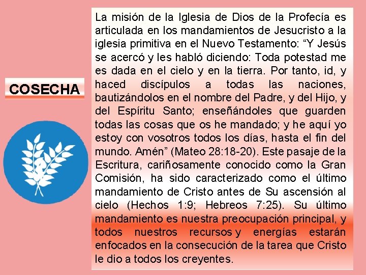 COSECHA La misión de la Iglesia de Dios de la Profecía es articulada en