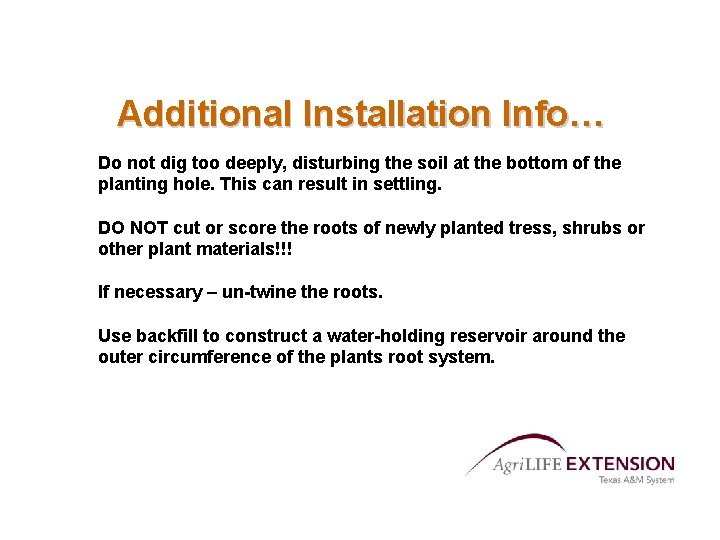 Additional Installation Info… Do not dig too deeply, disturbing the soil at the bottom