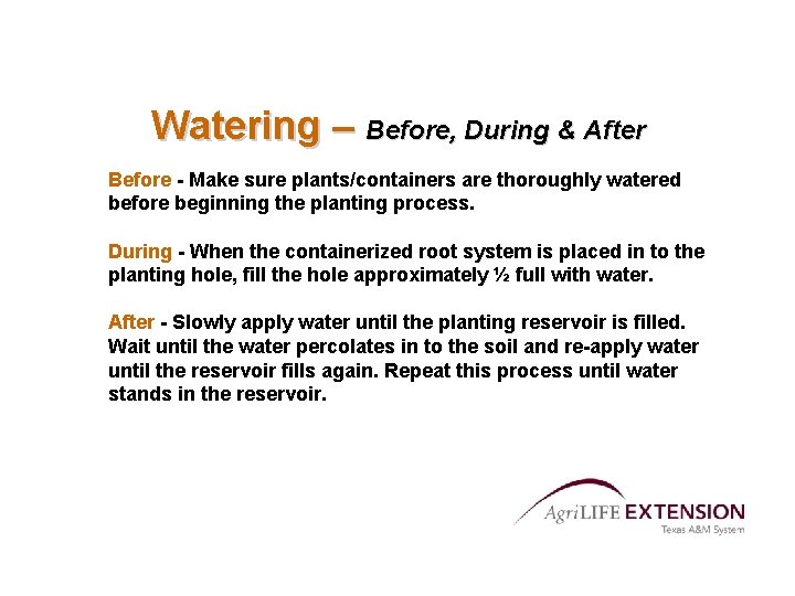 Watering – Before, During & After Before - Make sure plants/containers are thoroughly watered