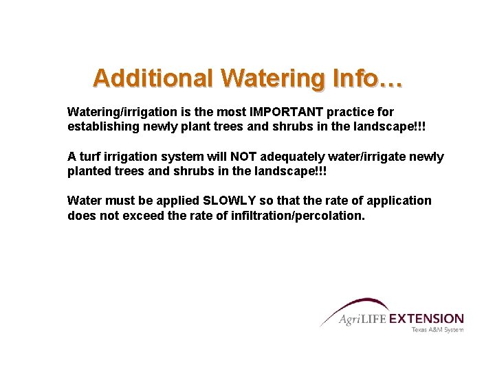 Additional Watering Info… Watering/irrigation is the most IMPORTANT practice for establishing newly plant trees