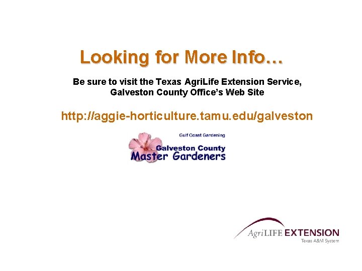 Looking for More Info… Be sure to visit the Texas Agri. Life Extension Service,