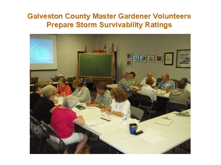 Galveston County Master Gardener Volunteers Prepare Storm Survivability Ratings 