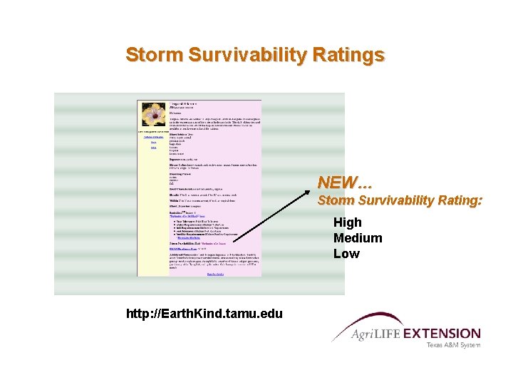 Storm Survivability Ratings NEW… Storm Survivability Rating: High Medium Low http: //Earth. Kind. tamu.
