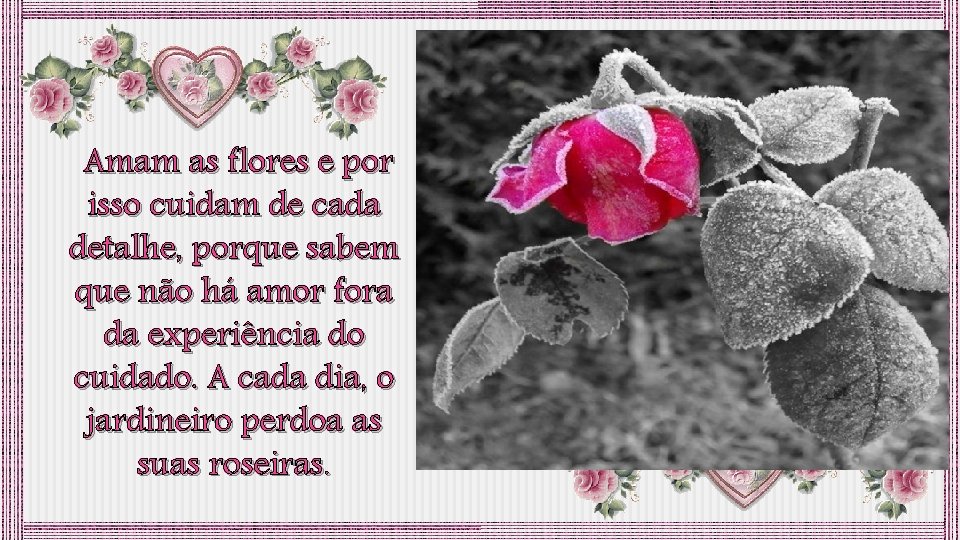 Amam as flores e por isso cuidam de cada detalhe, porque sabem que não