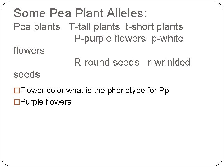 Some Pea Plant Alleles: Pea plants T-tall plants t-short plants P-purple flowers p-white flowers