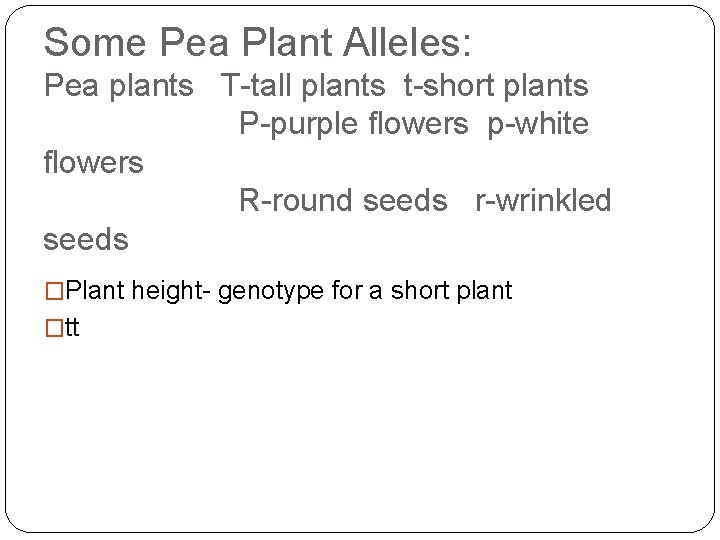 Some Pea Plant Alleles: Pea plants T-tall plants t-short plants P-purple flowers p-white flowers