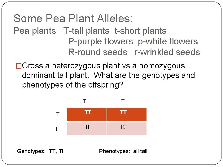 Some Pea Plant Alleles: Pea plants T-tall plants t-short plants P-purple flowers p-white flowers