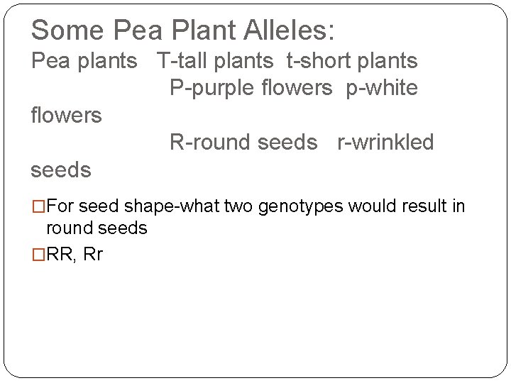 Some Pea Plant Alleles: Pea plants T-tall plants t-short plants P-purple flowers p-white flowers