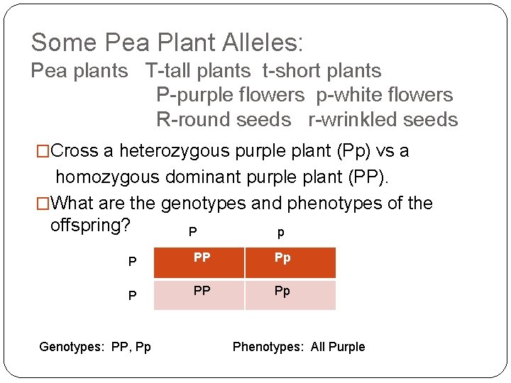 Some Pea Plant Alleles: Pea plants T-tall plants t-short plants P-purple flowers p-white flowers
