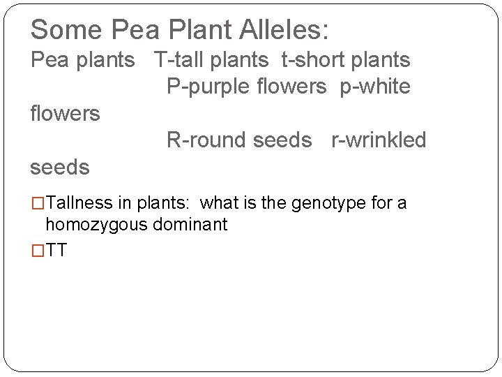Some Pea Plant Alleles: Pea plants T-tall plants t-short plants P-purple flowers p-white flowers