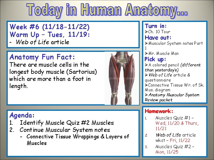 Week #6 (11/18 -11/22) Warm Up – Tues, 11/19: - Web of Life article