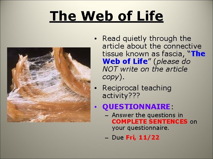 The Web of Life • Read quietly through the article about the connective tissue