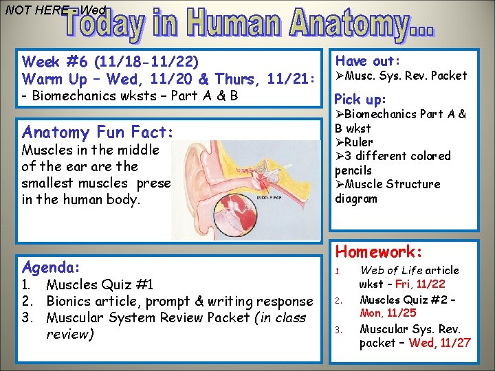 NOT HERE - Wed Week #6 (11/18 -11/22) Warm Up – Wed, 11/20 &