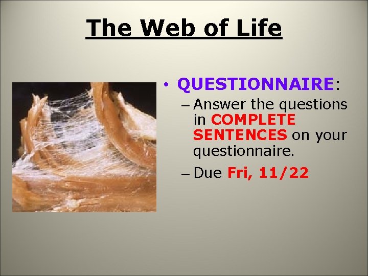 The Web of Life • QUESTIONNAIRE: – Answer the questions in COMPLETE SENTENCES on