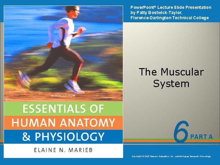 Power. Point® Lecture Slide Presentation by Patty Bostwick-Taylor, Florence-Darlington Technical College The Muscular System