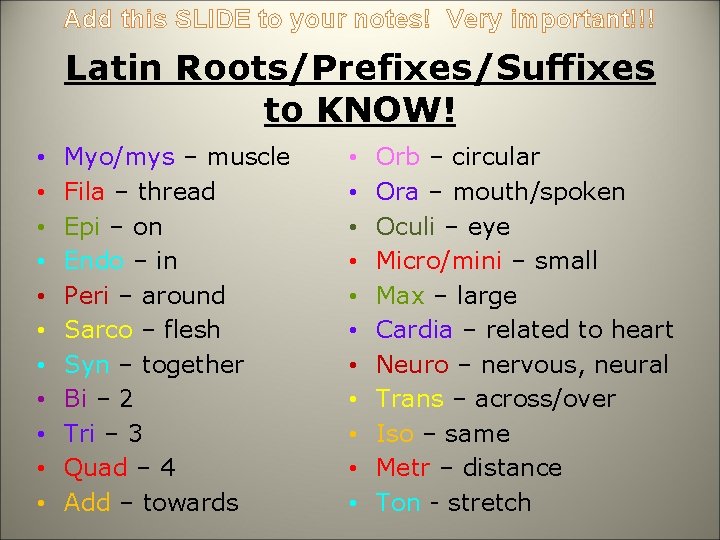 Add this SLIDE to your notes! Very important!!! Latin Roots/Prefixes/Suffixes to KNOW! • •