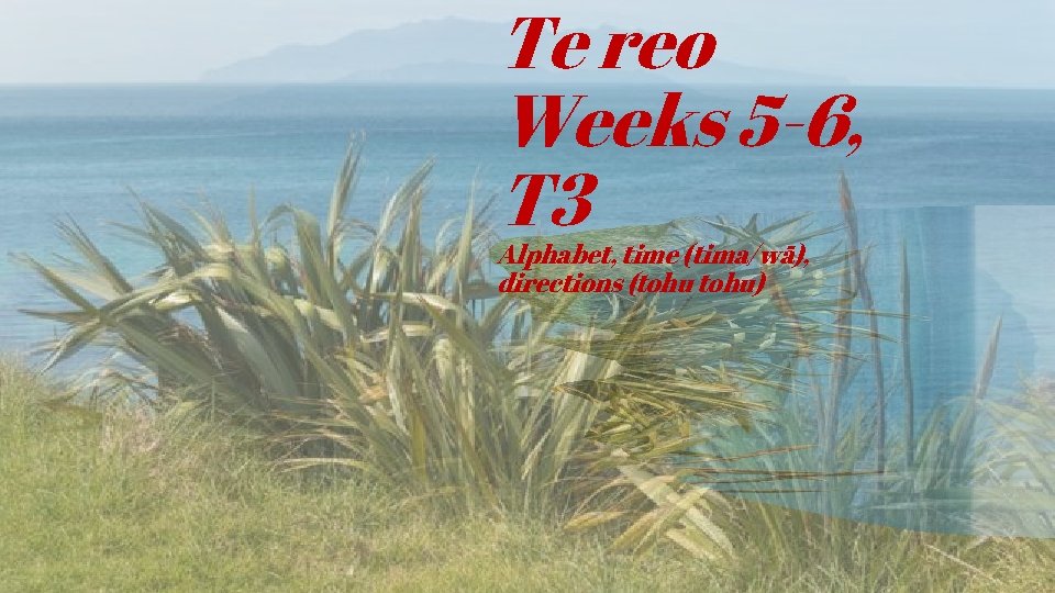 Te reo Weeks 5 -6, T 3 Alphabet, time (tima/wā), directions (tohu) 