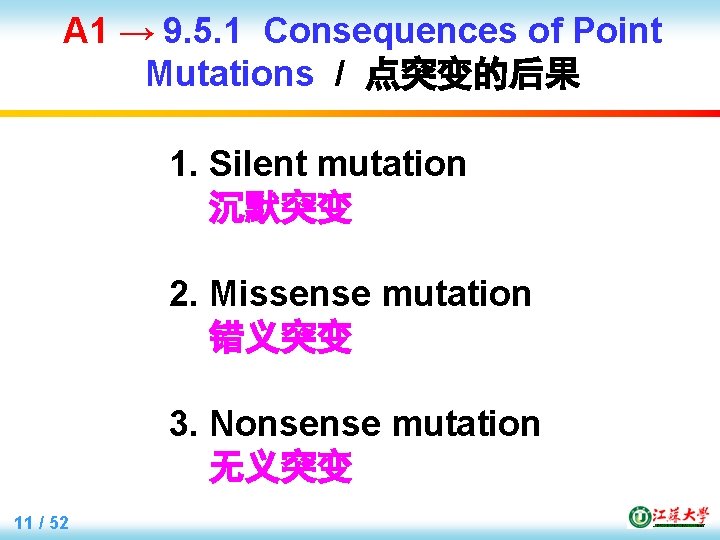 A 1 → 9. 5. 1 Consequences of Point Mutations / 点突变的后果 1. Silent