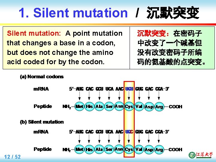 1. Silent mutation / 沉默突变 Silent mutation: A point mutation that changes a base