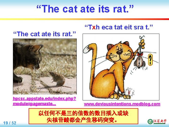 “The cat ate its rat. ” hpcsc. appstate. edu/index. php? module=pagemaste. . . 19