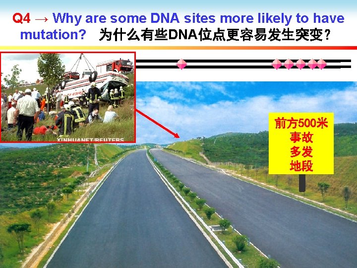 Q 4 → Why are some DNA sites more likely to have mutation? 为什么有些DNA位点更容易发生突变？