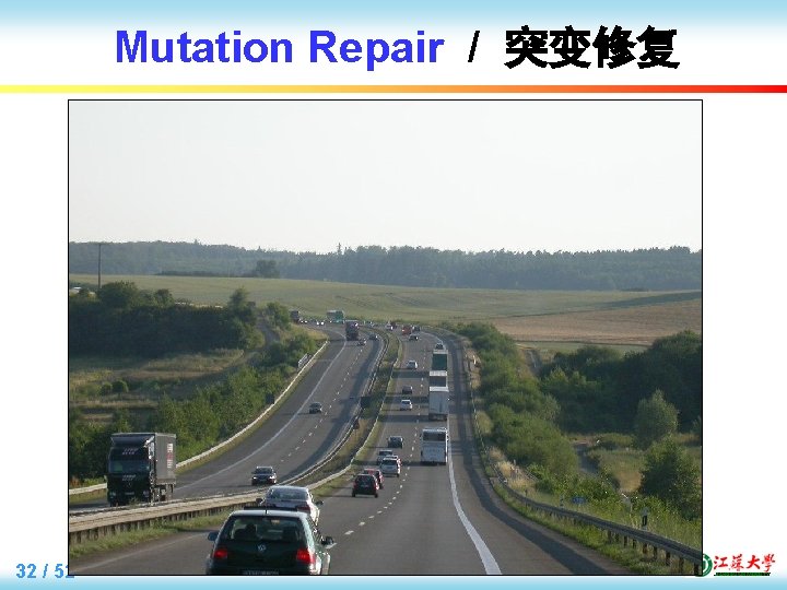 Mutation Repair / 突变修复 32 / 52 