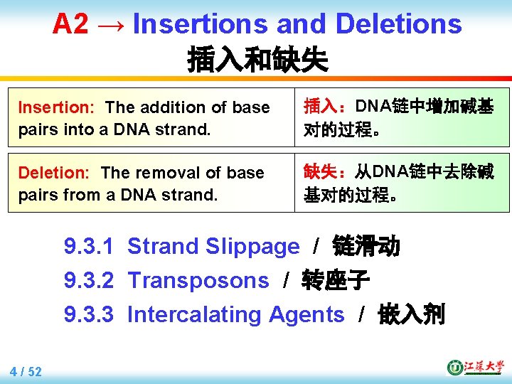 A 2 → Insertions and Deletions 插入和缺失 Insertion: The addition of base pairs into