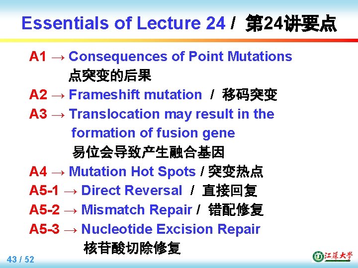 Essentials of Lecture 24 / 第 24讲要点 A 1 → Consequences of Point Mutations