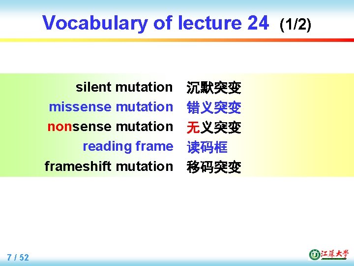 Vocabulary of lecture 24 silent mutation missense mutation nonsense mutation reading frameshift mutation 7