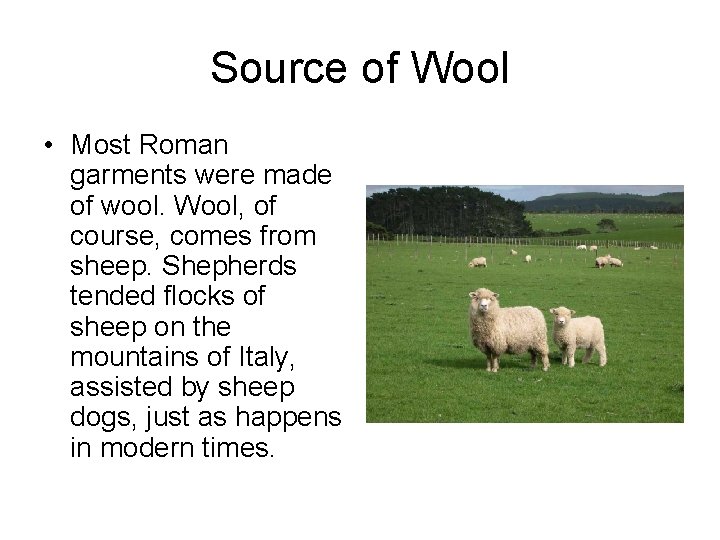 Source of Wool • Most Roman garments were made of wool. Wool, of course,