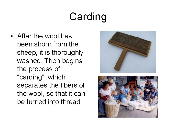 Carding • After the wool has been shorn from the sheep, it is thoroughly