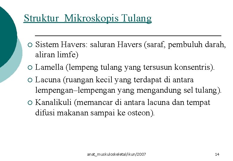 Struktur Mikroskopis Tulang Sistem Havers: saluran Havers (saraf, pembuluh darah, aliran limfe) ¡ Lamella