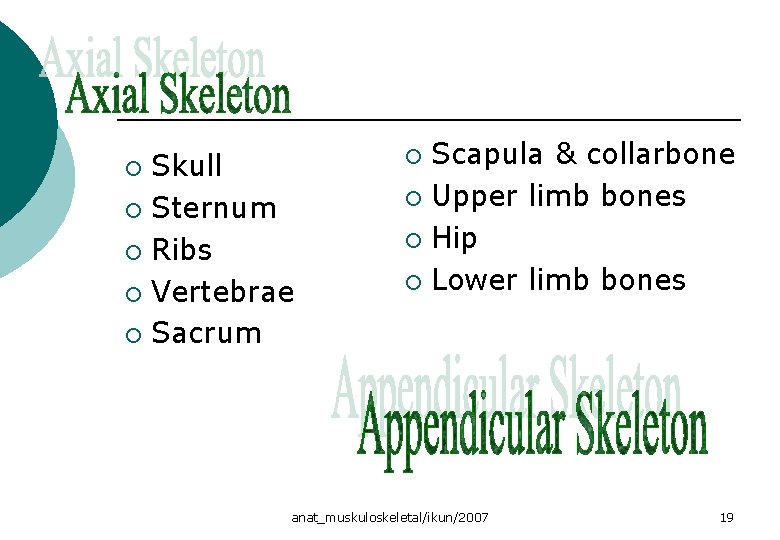 Skull ¡ Sternum ¡ Ribs ¡ Vertebrae ¡ Sacrum ¡ Scapula & collarbone ¡ Skull ¡ Sternum ¡ Ribs ¡ Vertebrae ¡ Sacrum ¡ Scapula & collarbone ¡