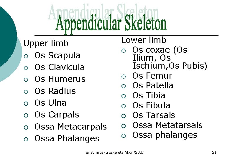 Upper limb ¡ Os Scapula ¡ Os Clavicula ¡ Os Humerus ¡ Os Radius Upper limb ¡ Os Scapula ¡ Os Clavicula ¡ Os Humerus ¡ Os Radius