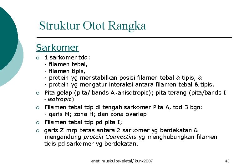 Struktur Otot Rangka Sarkomer ¡ ¡ ¡ 1 sarkomer tdd: - filamen tebal, -