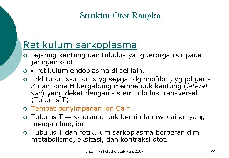 Struktur Otot Rangka Retikulum sarkoplasma ¡ ¡ ¡ Jejaring kantung dan tubulus yang terorganisir Struktur Otot Rangka Retikulum sarkoplasma ¡ ¡ ¡ Jejaring kantung dan tubulus yang terorganisir