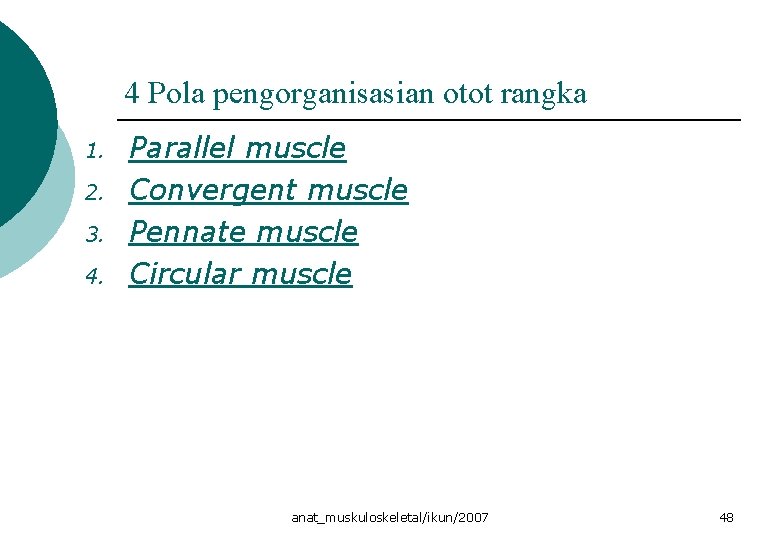 4 Pola pengorganisasian otot rangka 1. 2. 3. 4. Parallel muscle Convergent muscle Pennate 4 Pola pengorganisasian otot rangka 1. 2. 3. 4. Parallel muscle Convergent muscle Pennate