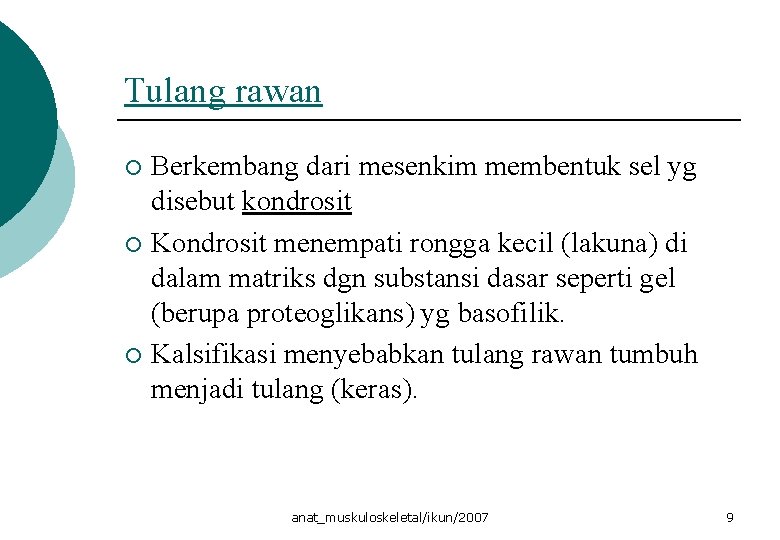 Tulang rawan Berkembang dari mesenkim membentuk sel yg disebut kondrosit ¡ Kondrosit menempati rongga