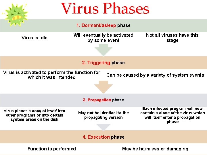 Virus Phases 1. Dormant/asleep phase Virus is idle Will eventually be activated by some