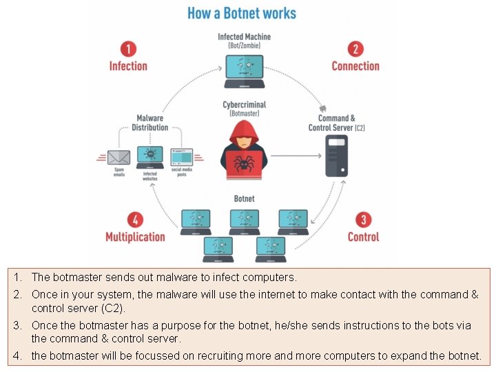 1. The botmaster sends out malware to infect computers. 2. Once in your system,