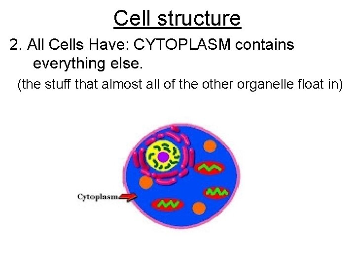 Cell structure 1 All Cells Have MEMBRANE outside