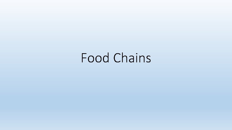 Food Chains 