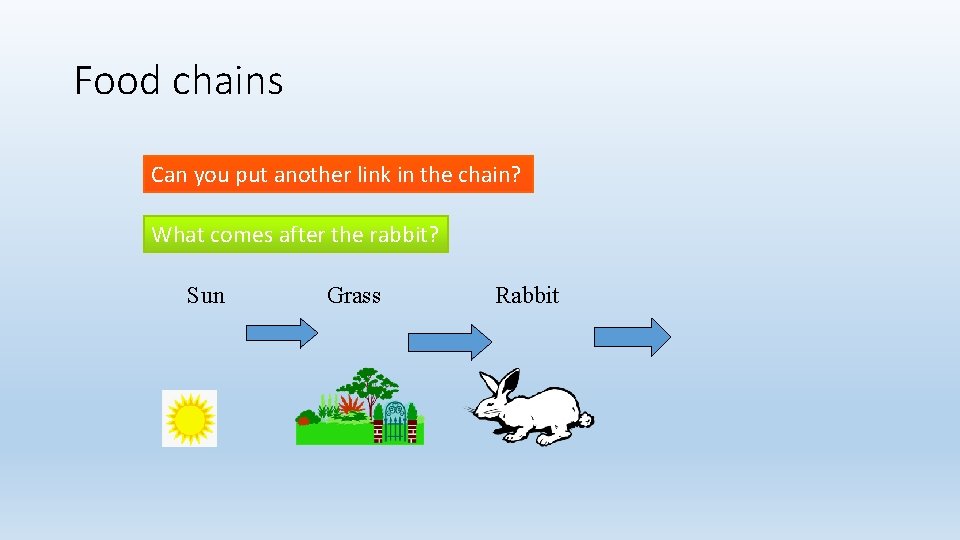 Food chains Can you put another link in the chain? What comes after the