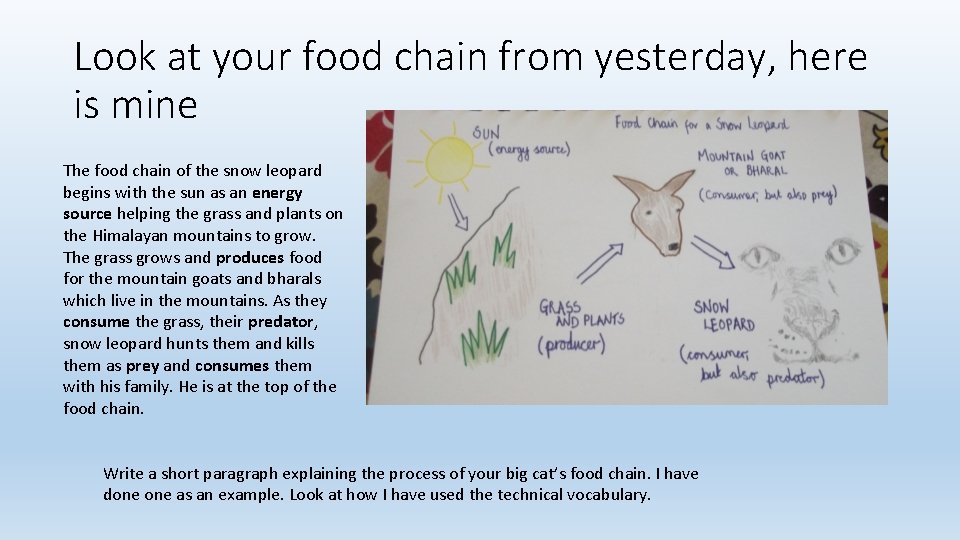 Look at your food chain from yesterday, here is mine The food chain of