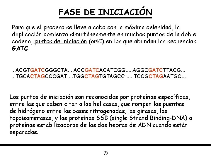 FASE DE INICIACIÓN Para que el proceso se lleve a cabo con la máxima