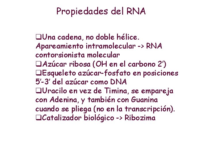 Propiedades del RNA q. Una cadena, no doble hélice. Apareamiento intramolecular -> RNA contorsionista